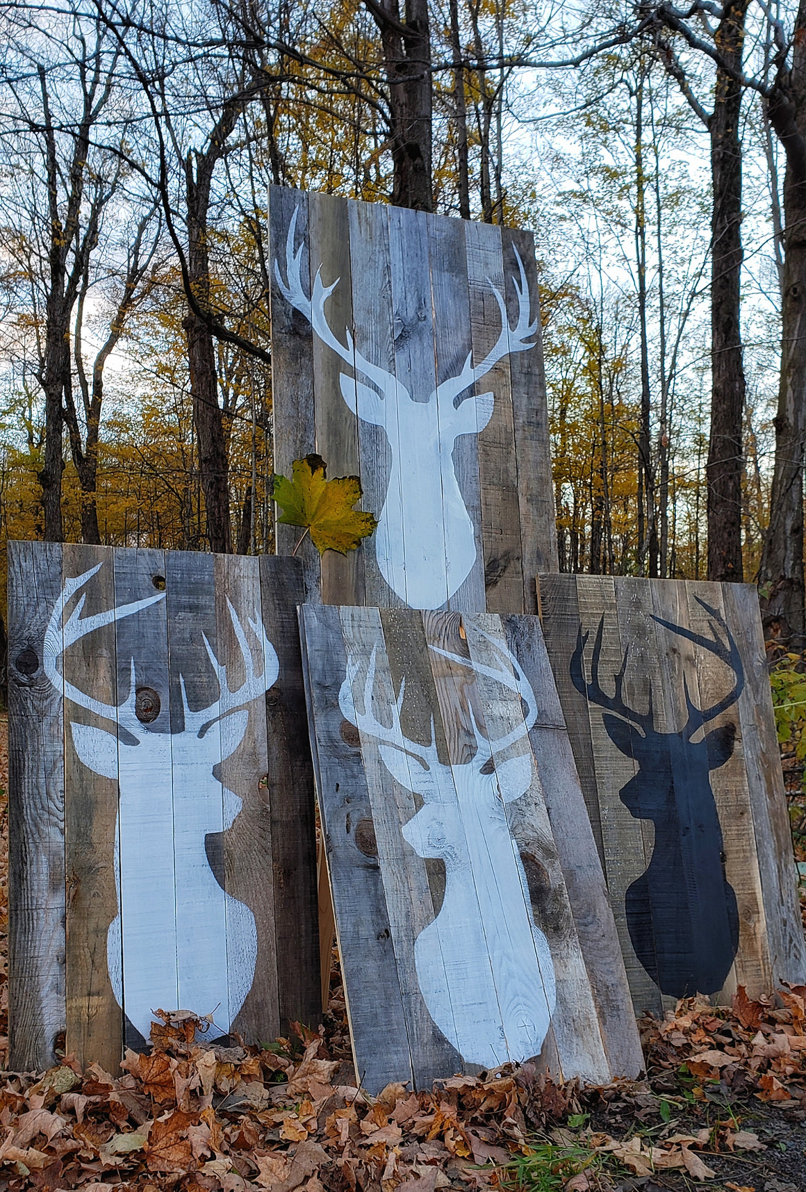 Deer Head | Barnwood