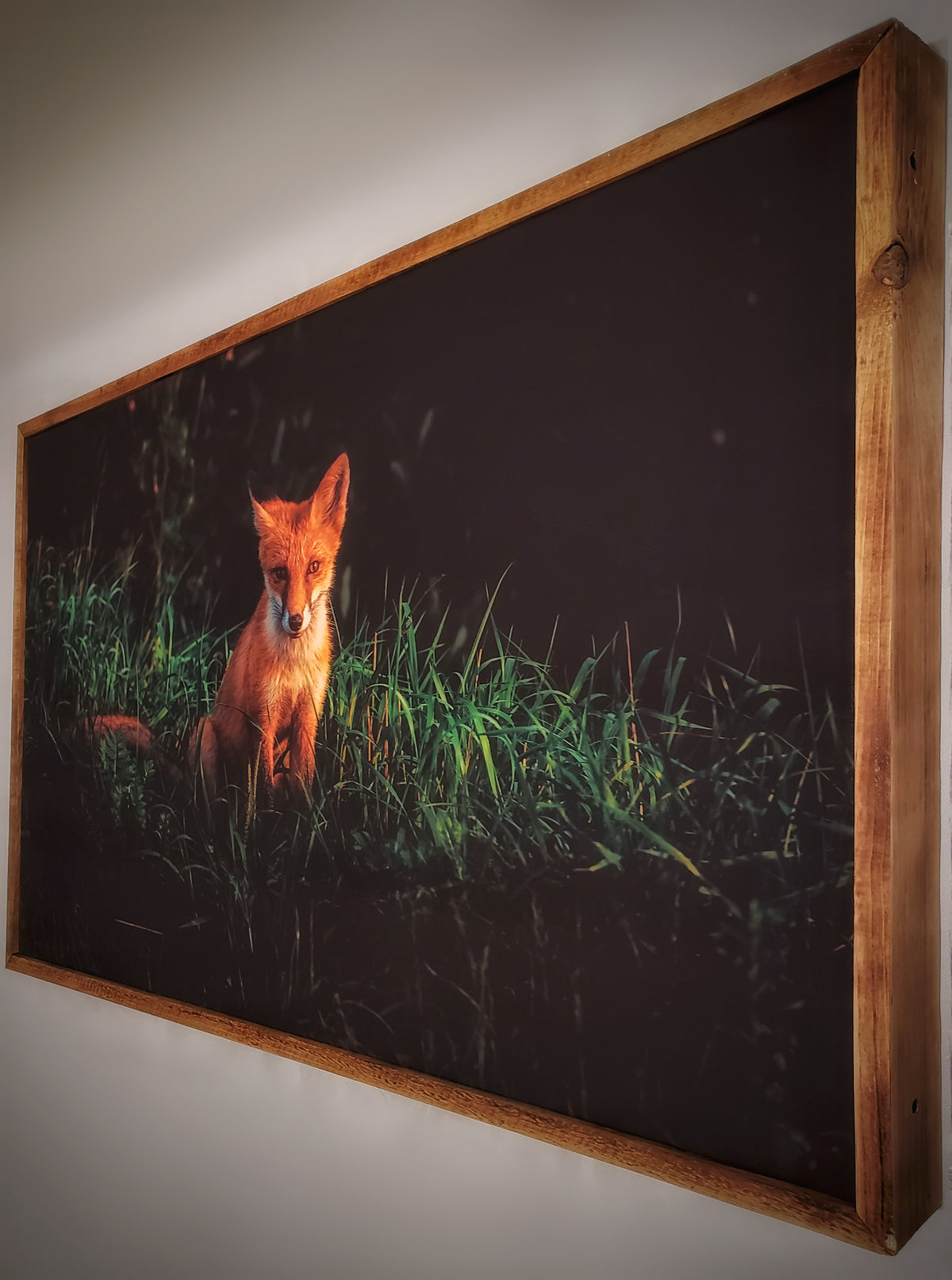 Renard roux — toile encadrée