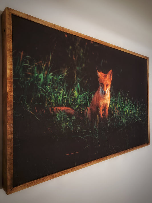 Renard roux — toile encadrée