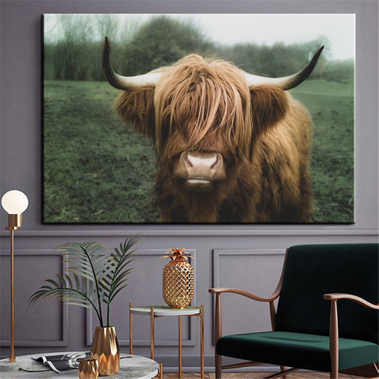 Highland Cattle 1.0