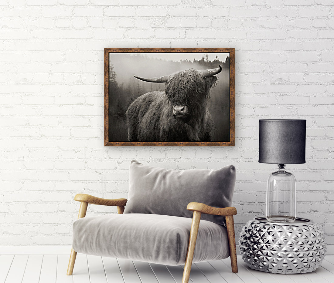 Vache Highland — noir et blanc — toile encadrée