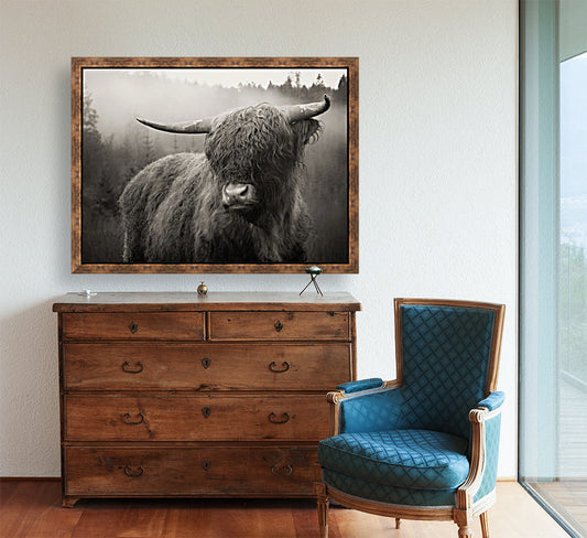Vache Highland — noir et blanc — toile encadrée
