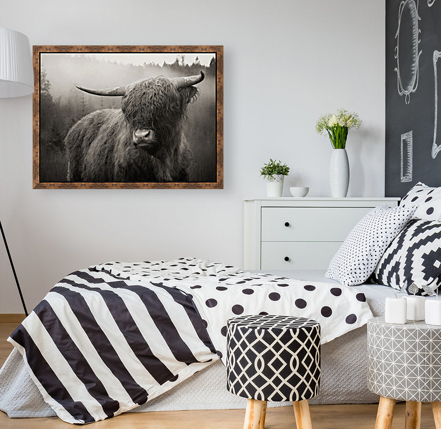 Vache Highland — noir et blanc — toile encadrée